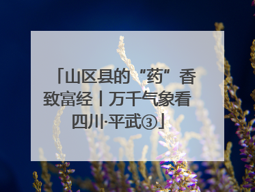 山区县的“药”香致富经丨万千气象看四川·平武③