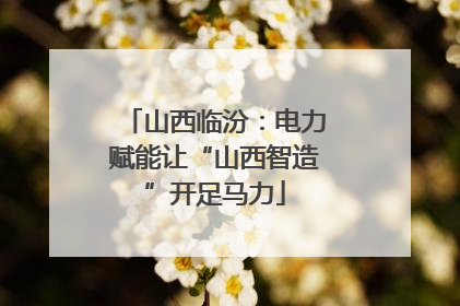 山西临汾：电力赋能让“山西智造”开足马力