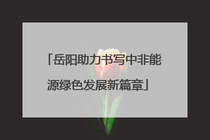 岳阳助力书写中非能源绿色发展新篇章