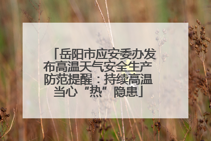 岳阳市应安委办发布高温天气安全生产防范提醒：持续高温当心“热”隐患