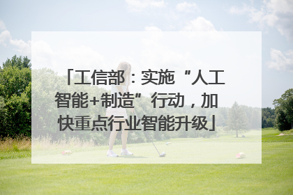 工信部：实施“人工智能+制造”行动，加快重点行业智能升级