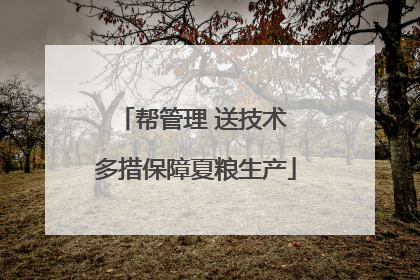 帮管理 送技术 多措保障夏粮生产