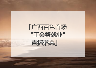 广西百色首场“工会帮就业”直播落幕