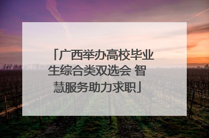 广西举办高校毕业生综合类双选会 智慧服务助力求职
