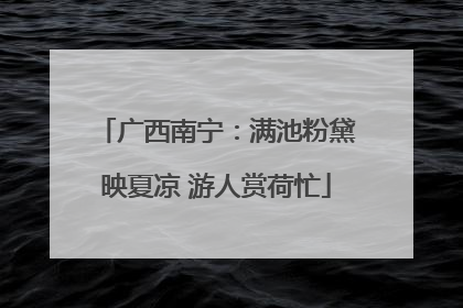 广西南宁：满池粉黛映夏凉 游人赏荷忙