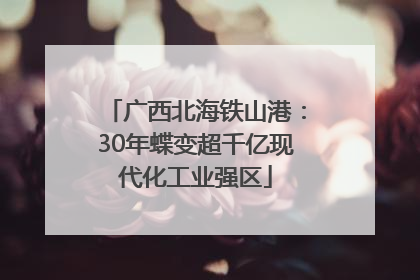 广西北海铁山港：30年蝶变超千亿现代化工业强区