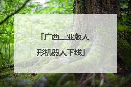 广西工业版人形机器人下线