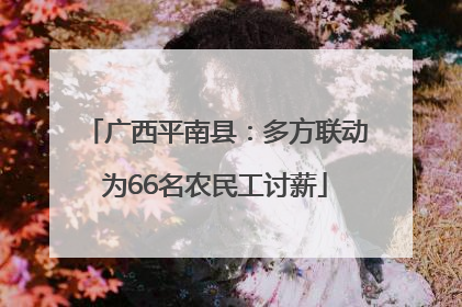广西平南县：多方联动为66名农民工讨薪