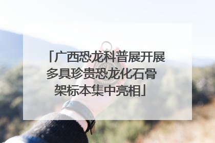 广西恐龙科普展开展 多具珍贵恐龙化石骨架标本集中亮相