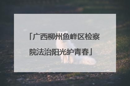 广西柳州鱼峰区检察院法治阳光护青春