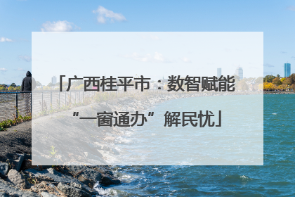 广西桂平市：数智赋能“一窗通办”解民忧