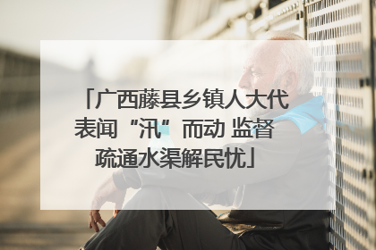 广西藤县乡镇人大代表闻“汛”而动 监督疏通水渠解民忧