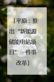 平原：推出“新能源储能电站项目”一件事改革