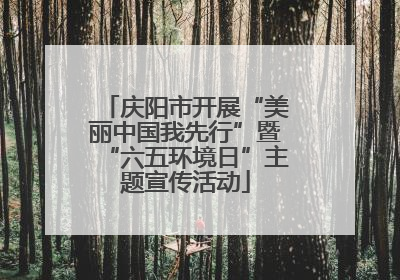 庆阳市开展“美丽中国我先行”暨“六五环境日”主题宣传活动