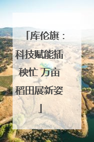 库伦旗：科技赋能插秧忙 万亩稻田展新姿