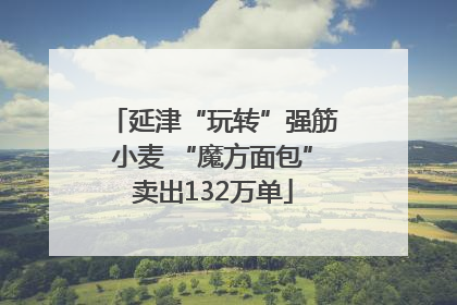 延津“玩转”强筋小麦 “魔方面包”卖出132万单