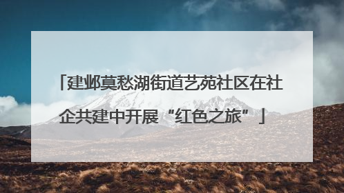 建邺莫愁湖街道艺苑社区在社企共建中开展“红色之旅”
