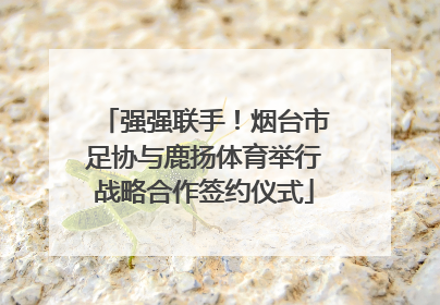 强强联手！烟台市足协与鹿扬体育举行战略合作签约仪式