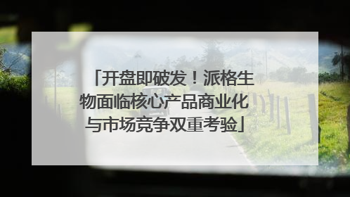 开盘即破发！派格生物面临核心产品商业化与市场竞争双重考验