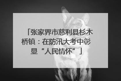 张家界市慈利县杉木桥镇：在防汛大考中彰显“人民情怀”