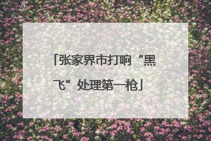张家界市打响“黑飞”处理第一枪