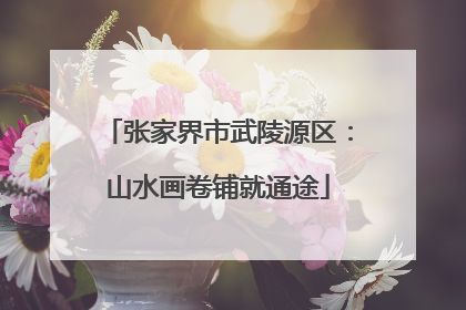 张家界市武陵源区：山水画卷铺就通途