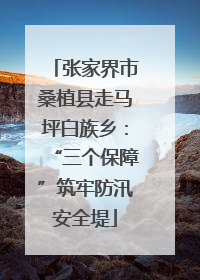 张家界市桑植县走马坪白族乡：“三个保障”筑牢防汛安全堤
