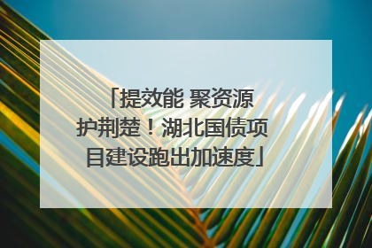 提效能 聚资源 护荆楚！湖北国债项目建设跑出加速度