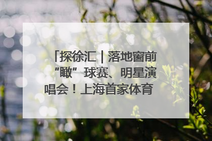 探徐汇｜落地窗前“瞰”球赛、明星演唱会！上海首家体育特色高端酒店亮相
