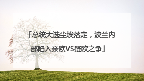 总统大选尘埃落定，波兰内部陷入亲欧VS疑欧之争