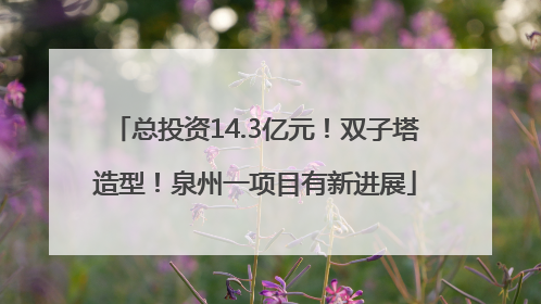 总投资14.3亿元！双子塔造型！泉州一项目有新进展