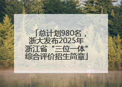 总计划980名，浙大发布2025年浙江省“三位一体”综合评价招生简章