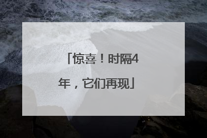 惊喜！时隔4年，它们再现