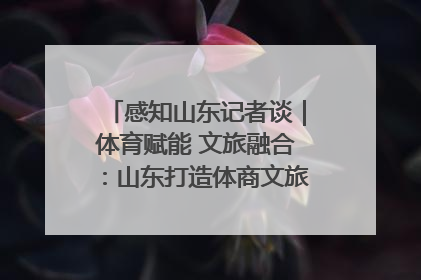 感知山东记者谈｜体育赋能 文旅融合：山东打造体商文旅融合发展新格局