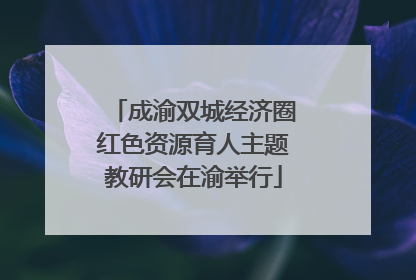 成渝双城经济圈红色资源育人主题教研会在渝举行