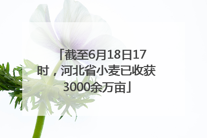 截至6月18日17时，河北省小麦已收获3000余万亩
