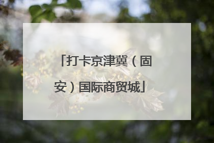 打卡京津冀（固安）国际商贸城