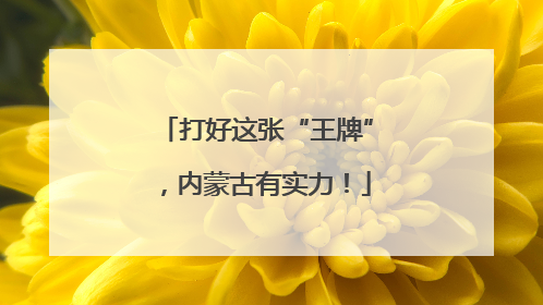 打好这张“王牌”，内蒙古有实力！