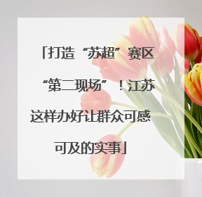 打造“苏超”赛区“第二现场”！江苏这样办好让群众可感可及的实事