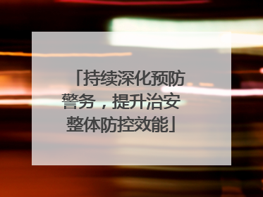 持续深化预防警务，提升治安整体防控效能