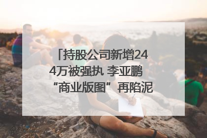 持股公司新增244万被强执 李亚鹏“商业版图”再陷泥潭？｜科技观察