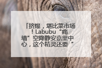 挤爆，堪比菜市场！Labubu“痛墙”空降静安嘉里中心，这个精灵还要“突袭”便利店？