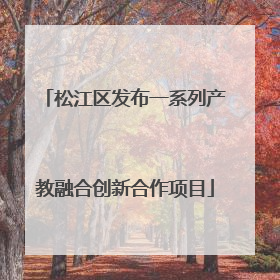 松江区发布一系列产教融合创新合作项目