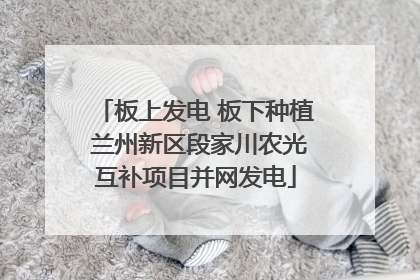 板上发电 板下种植 兰州新区段家川农光互补项目并网发电