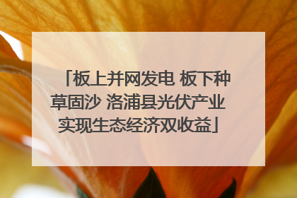 板上并网发电 板下种草固沙 洛浦县光伏产业实现生态经济双收益