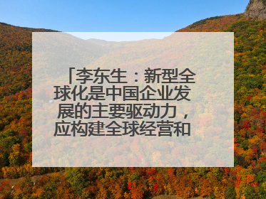 李东生：新型全球化是中国企业发展的主要驱动力，应构建全球经营和供应链体系