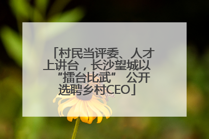 村民当评委、人才上讲台，长沙望城以“擂台比武” 公开选聘乡村CEO