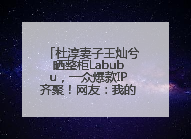 杜淳妻子王灿兮晒整柜Labubu，一众爆款IP齐聚！网友：我的 “梦中情柜”