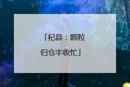 杞县：颗粒归仓丰收忙