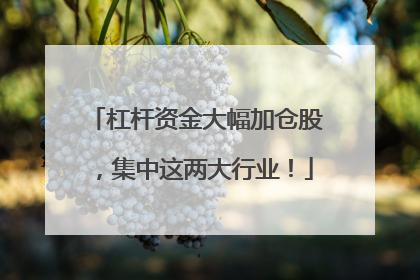 杠杆资金大幅加仓股，集中这两大行业！